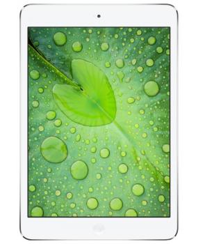 iPad mini 2Wi-Fi + Cellular