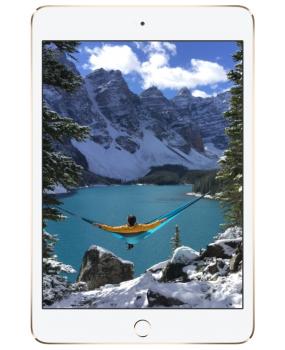 iPad mini 4Wi-Fi + Cellular