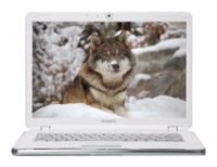 VAIO VGN-CR520E