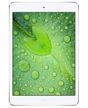 iPad mini 2 Wi-Fi + Cellular