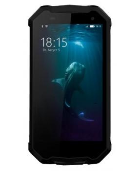 BQ-5033 Shark