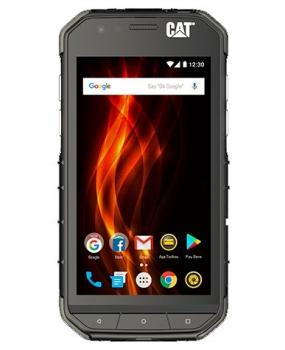 Cat S31
