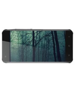B3Fox+