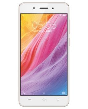 Y55
