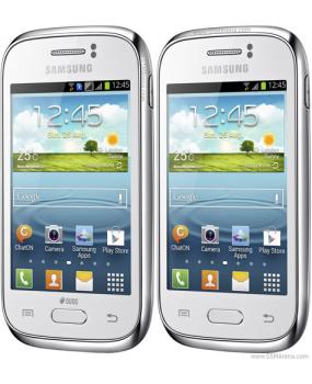 Galaxy Young S6310