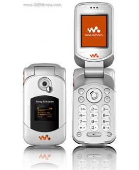 W300
