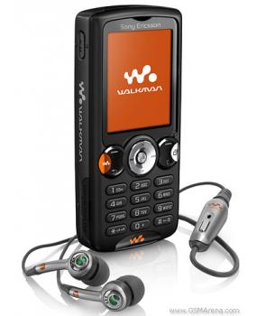 W810